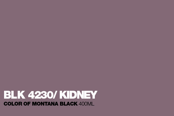 4230 - Kidney